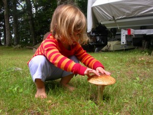 Photo of a child touching a mushroom.